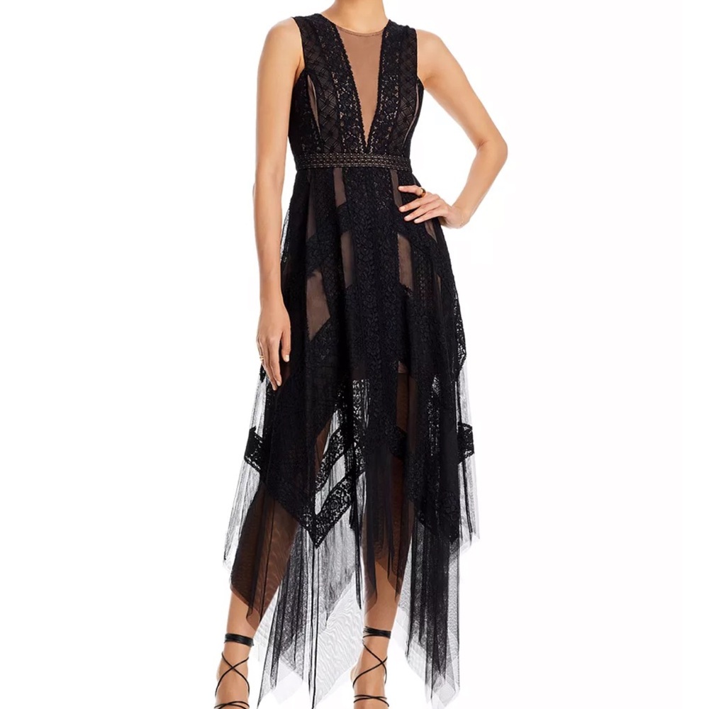 BCBGMaxazria Andi Lace Trim Evening Dress